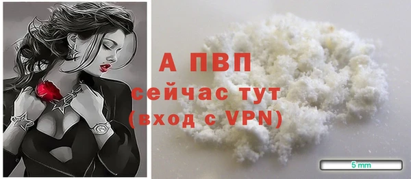 ГАЛЛЮЦИНОГЕННЫЕ ГРИБЫ Козельск