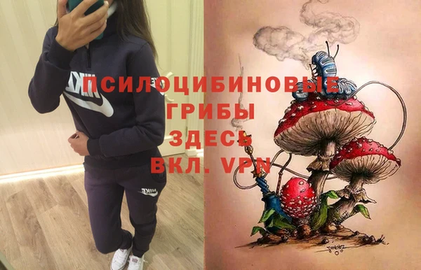 винт Козловка
