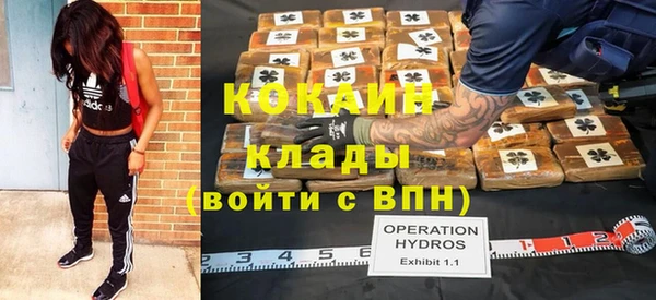 ГАЛЛЮЦИНОГЕННЫЕ ГРИБЫ Козельск
