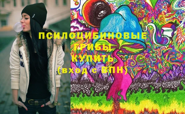 винт Козловка