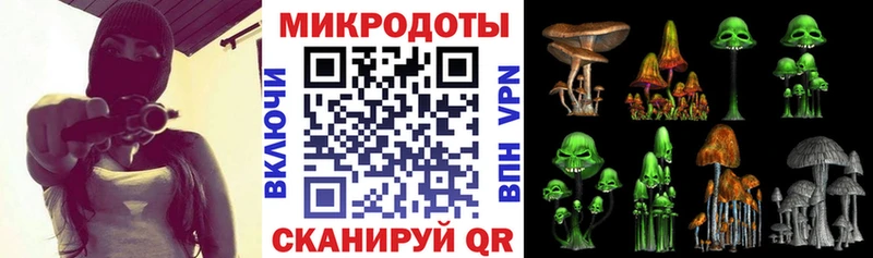 Купить где  Коркино  Галлюциногенные грибы Psilocybe 
